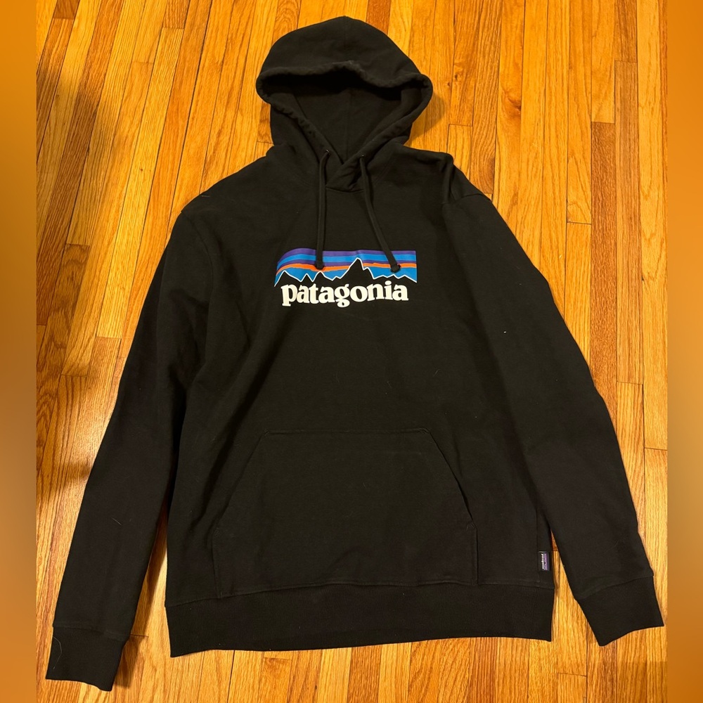 Patagonia sweatshirt (worn twice)